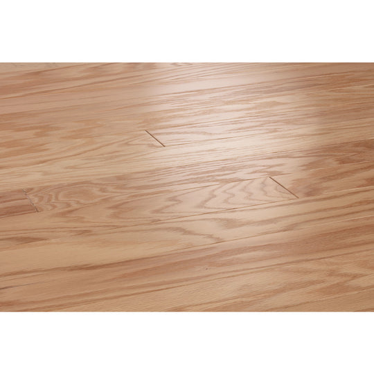 Albright Oak 3.25"