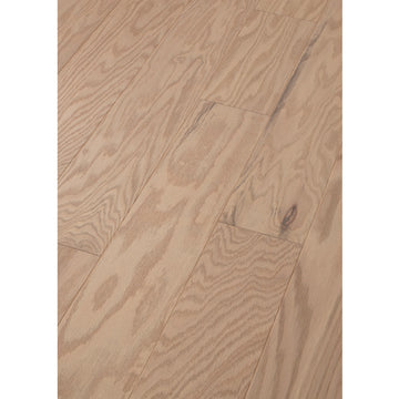 Biscuit Lg