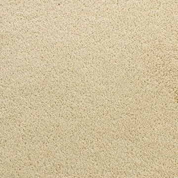 Dry Chamois