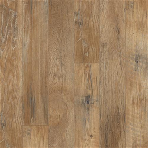 Restoration Collection - Historic Oak