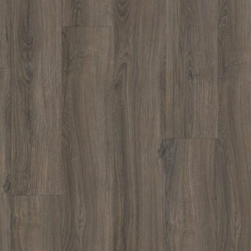 Nova Scotia Oak