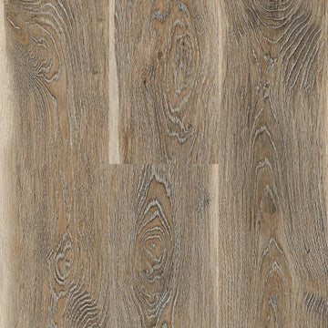 Urban Oak