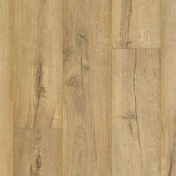 Cavalry Oak
