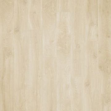 Pumice Oak