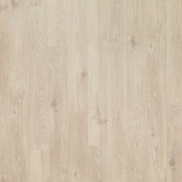 Nimbus Oak