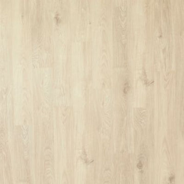 Iris Oak