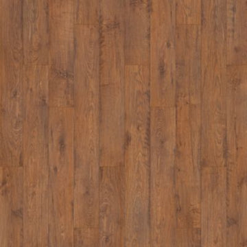 Twilight Oak