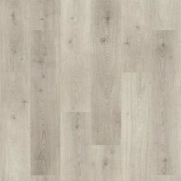 Sunshower Oak