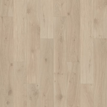 Shoreline Oak