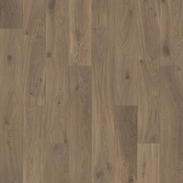 Acorn Oak