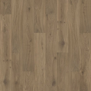 Dusk Oak