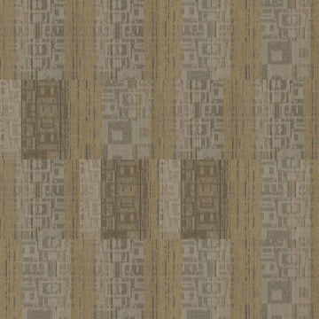 Press Conferenc