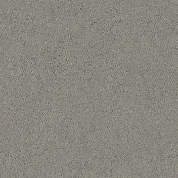 Dark Slate