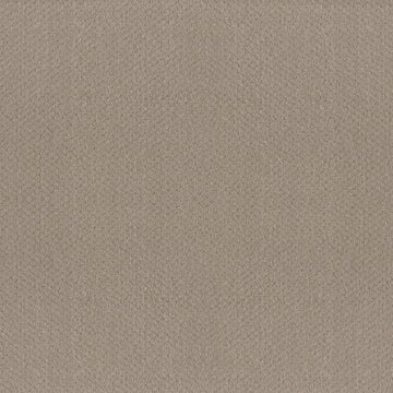 Studio Taupe