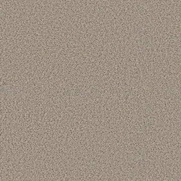 Horizon
