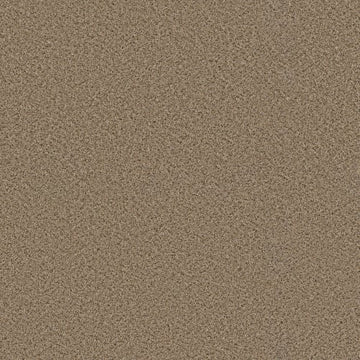 Bridle Leather