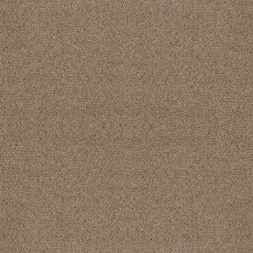 Bridle Leather