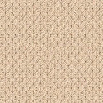 Tapestry