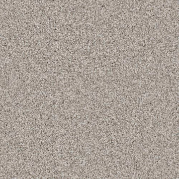 Pebble