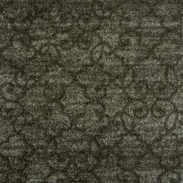 Charcoal