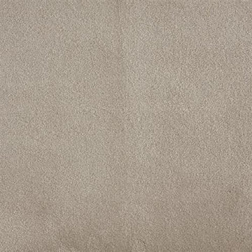 Shadow