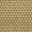 Amazon in Natural Carpet