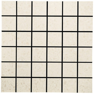 Bone Mosaic 2"x2"