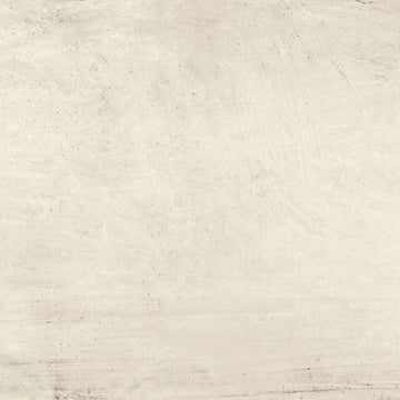 Bone 24x48