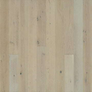Ocean Drive Oak