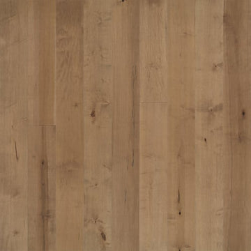Pennsylvania Maple