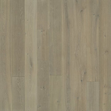 Sunset Oak