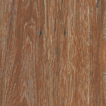 Hickory 6x24
