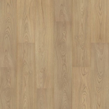 Stallion Hickory