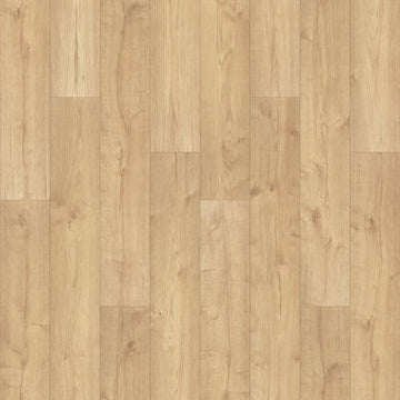 Canoe Oak