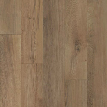 Cedar