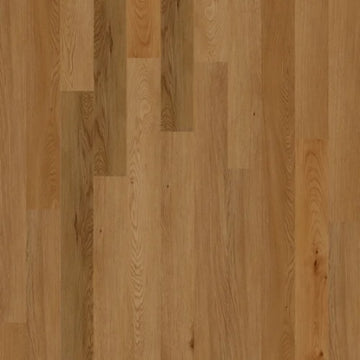 Nutmeg