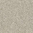 ALL SET I in Atlantic Sand Carpet