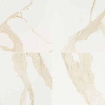 Calacatta - 24x24 Matte
