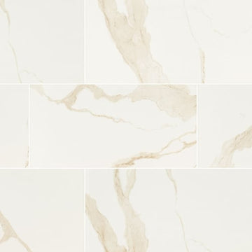 Calacatta - 24x48 Matte