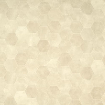 Pashmina