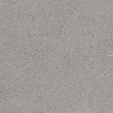 French Gray-24x48