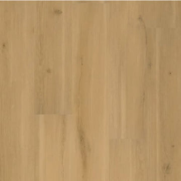 Praline