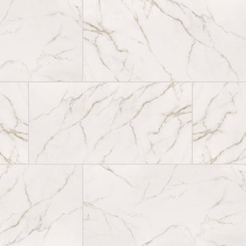 Calacatta Lucca - 24x48 Matte