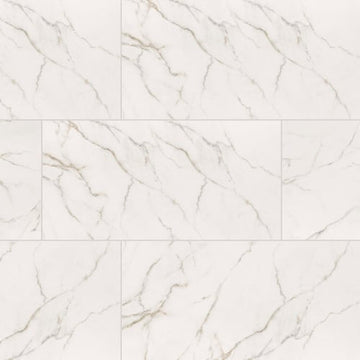 Calacatta Lucca - 12x24 Matte