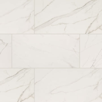 Calacatta Venato - 12x24 Matte