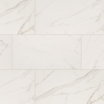 Calacatta Venato - 24x48 Matte