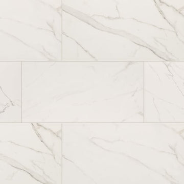 Calacatta Venato - 24x48 Polished