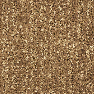 Urban Taupe