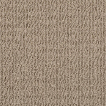 Shell Dust