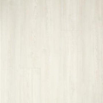Blank Canvas
